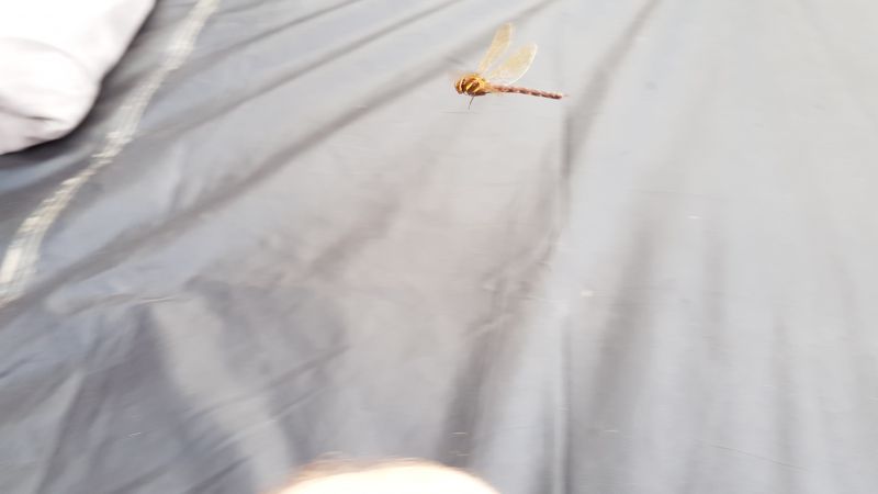 20170806_154217(0)
