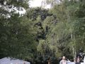 MG_7071
