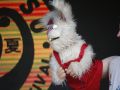 MG_8046